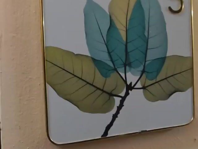 Video Image 1