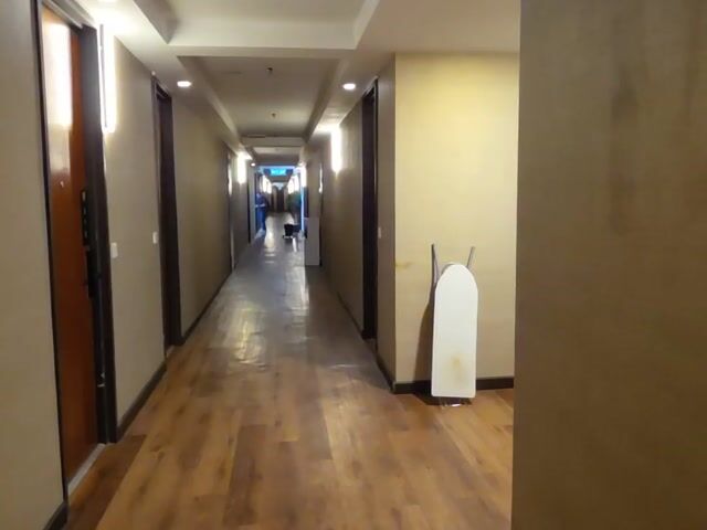 Video Image 1