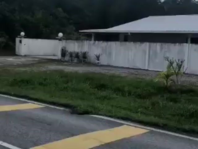 Video Image 1