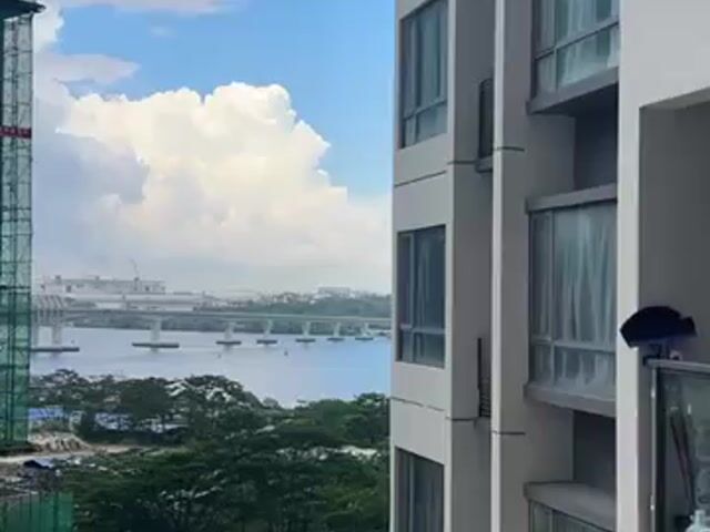 Video Image 1