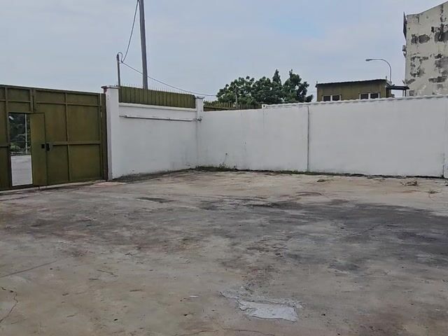 Video Image 1