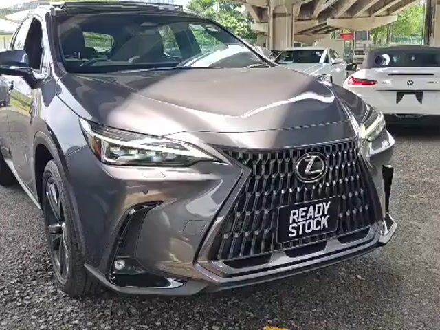2023 Lexus NX250 2.5 LUXURY MY22 (A) GRADE 5A - 1