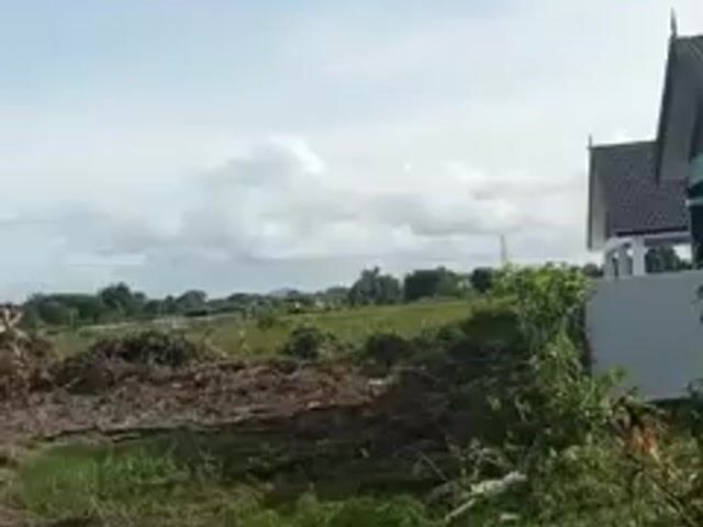 Video Image 1