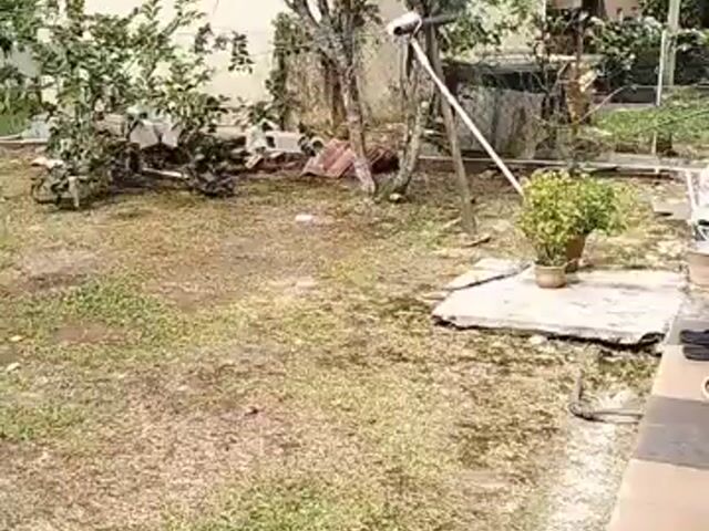 Video Image 1