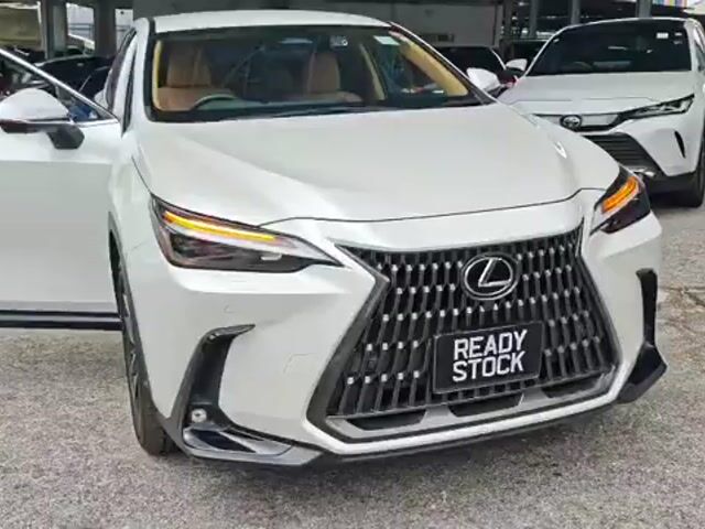 2023 Lexus NX 250 2.5 LUXURY (A) GRADE 5A - 1
