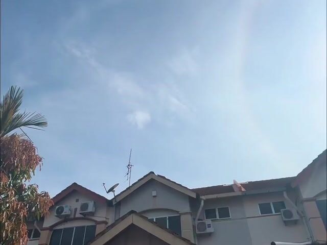 Video Image 1