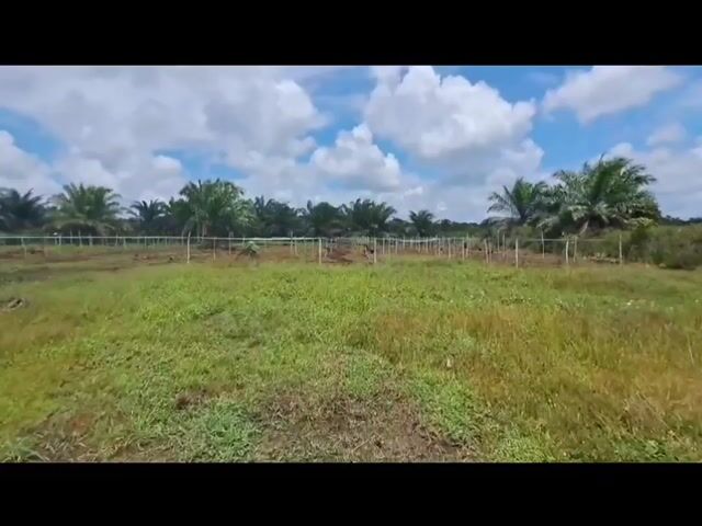 Video Image 1