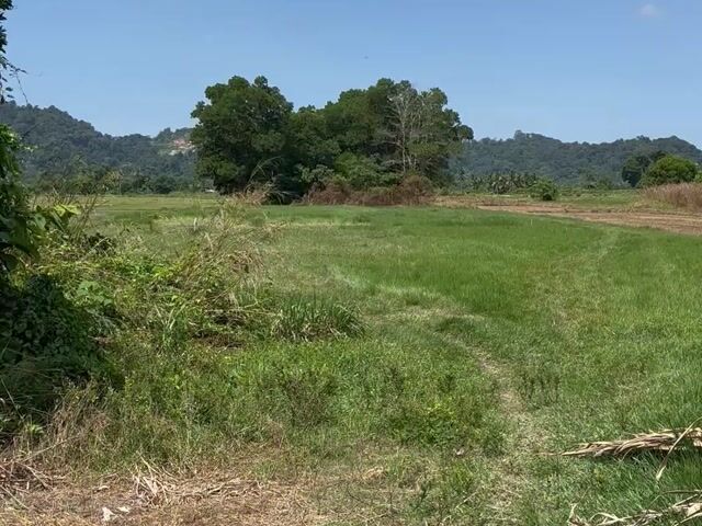 Video Image 1