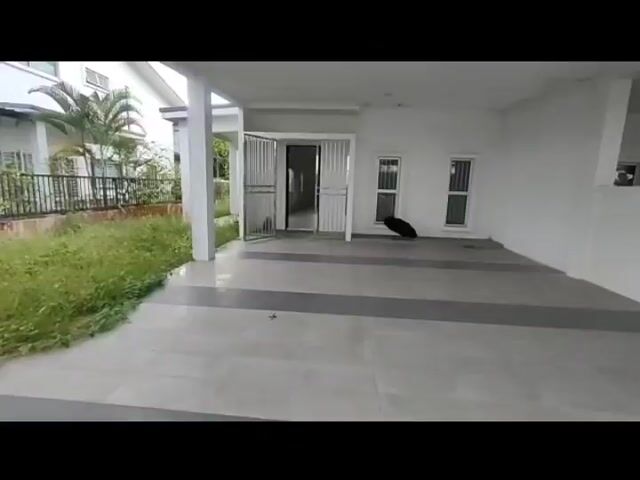 Video Image 1
