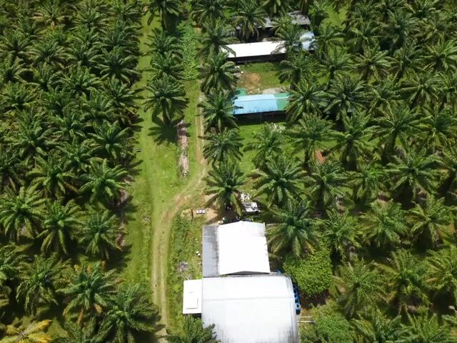 Video Image 1