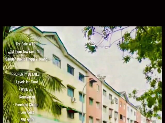 Video Image 1