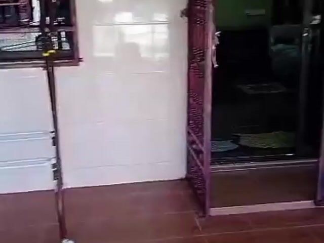 Video Image 1