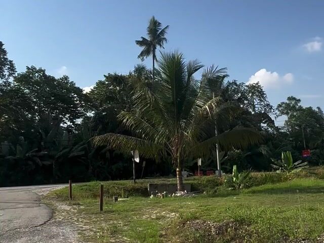 Video Image 1