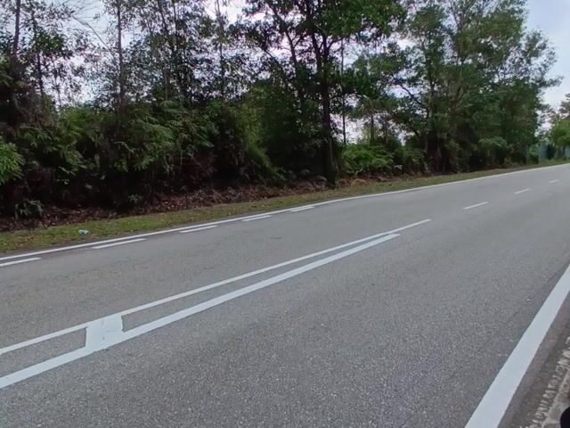 Video Image 1