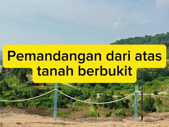 Video Image 1