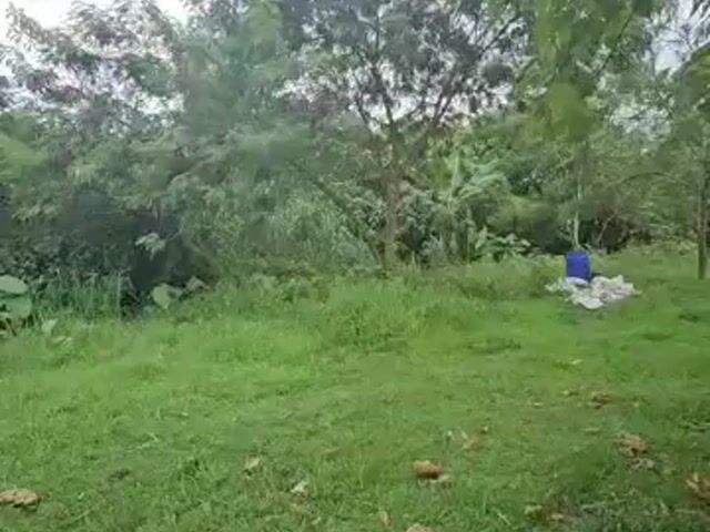 Video Image 1