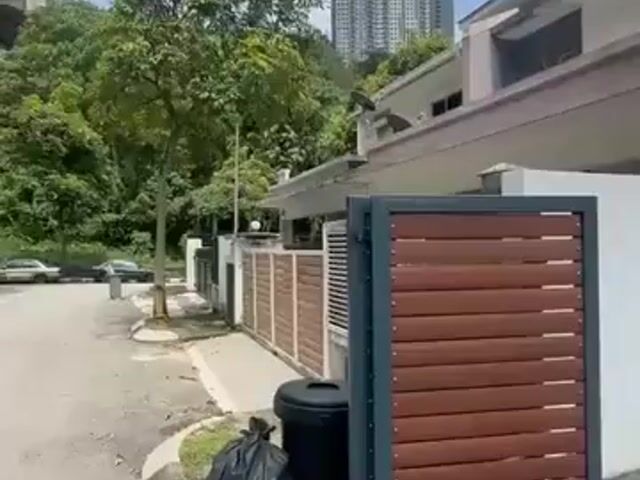 Video Image 1