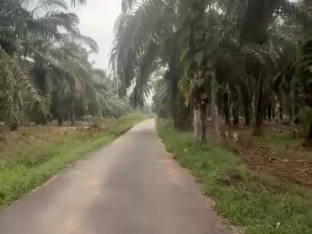 Video Image 1