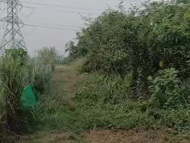 Video Image 1