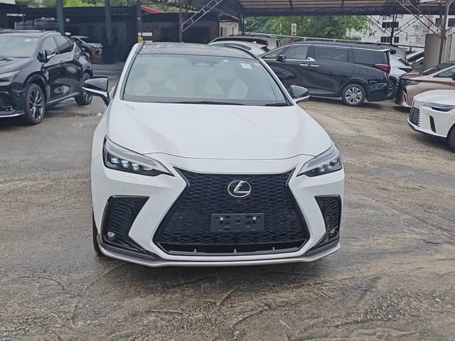 2023 Lexus NX 350 2.4 F SPORT AWDMARK LEVINSON TRD - 1