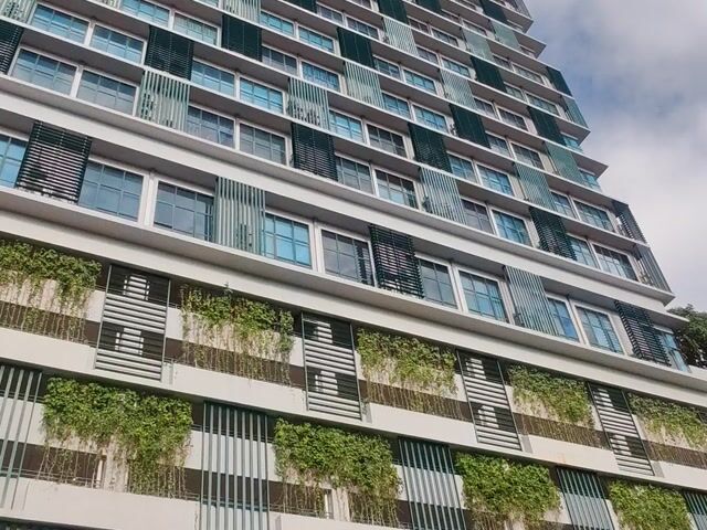 Video Image 1