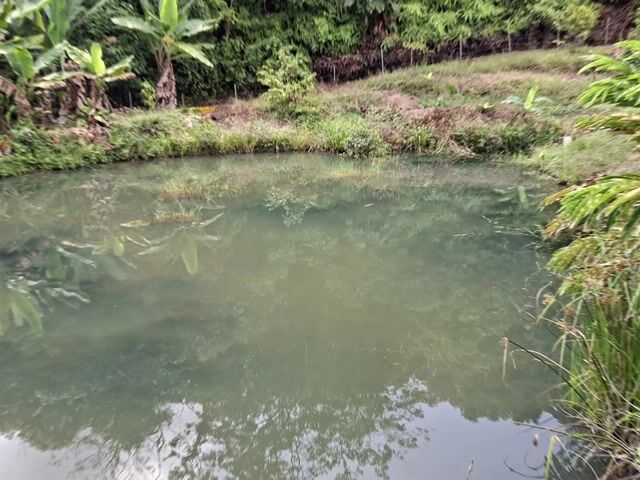 Video Image 1