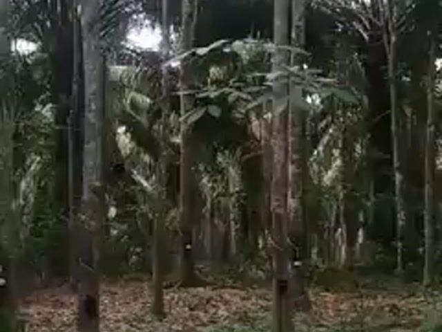 Video Image 1