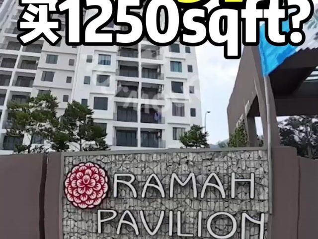 Video Image 1