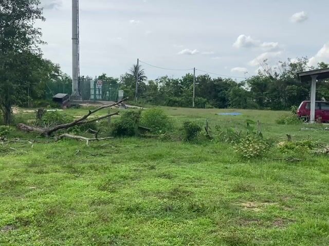 Video Image 1