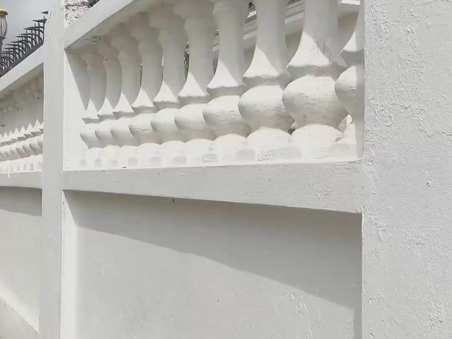 Video Image 1