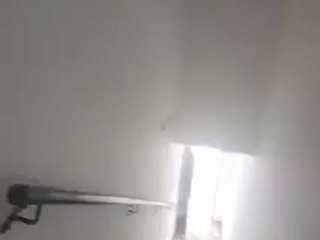 Video Image 1