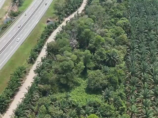 Video Image 1