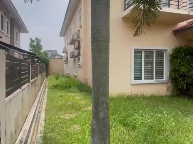 Video Image 1