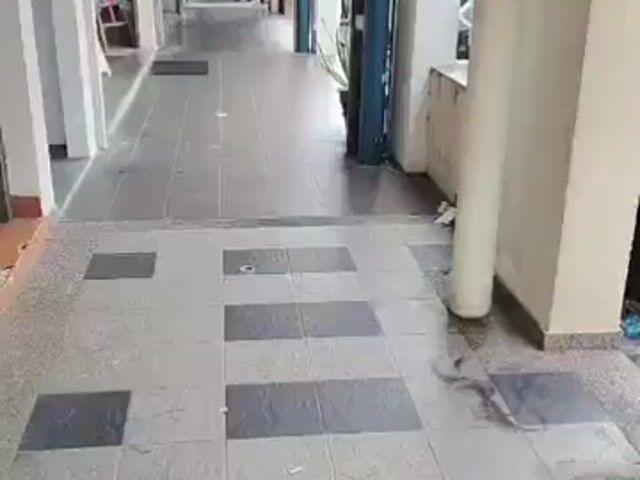 Video Image 1