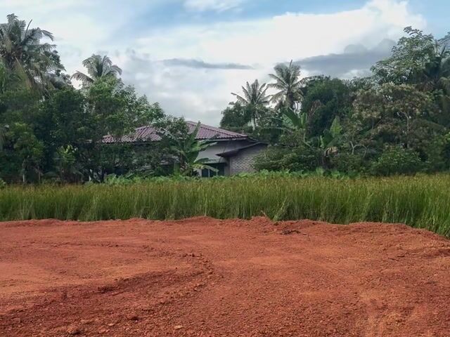 Video Image 1