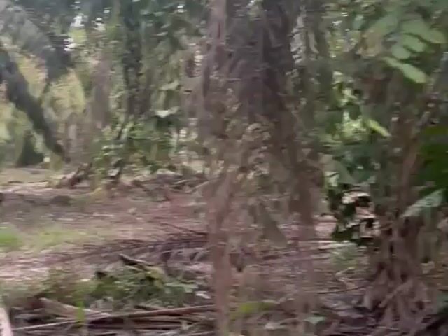 Video Image 1