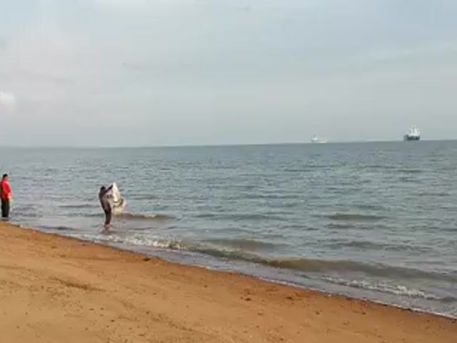 Video Image 1
