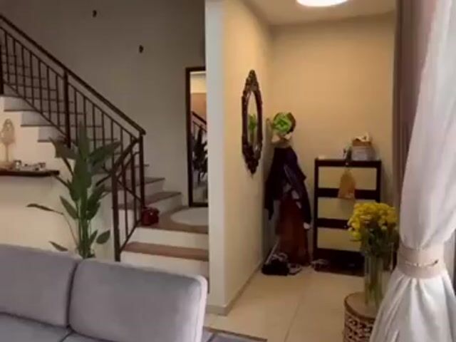 Video Image 1