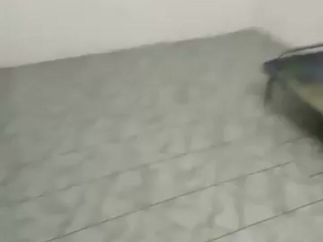 Video Image 1