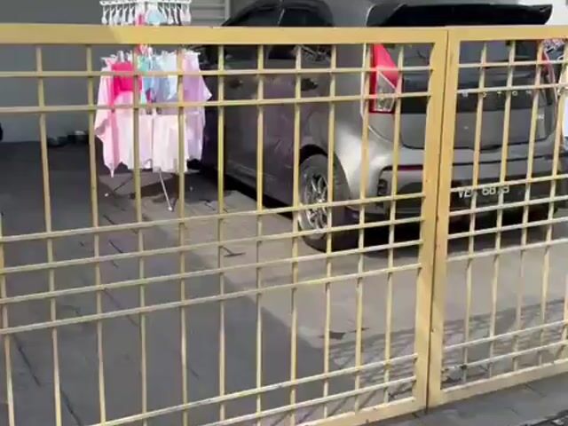 Video Image 1