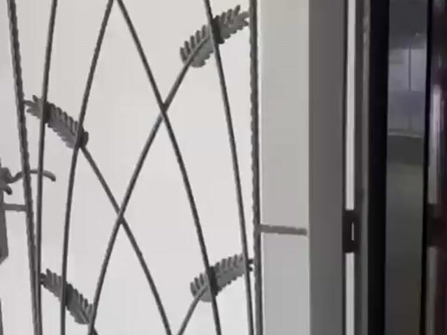 Video Image 1