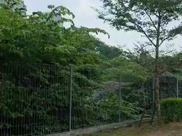 Video Image 1
