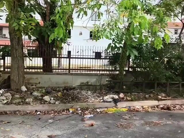 Video Image 1