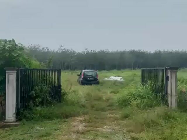 Video Image 1