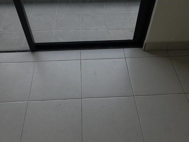Video Image 1