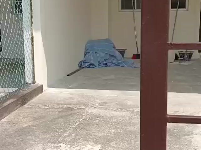 Video Image 1
