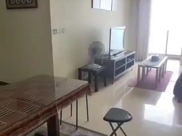 Video Image 1