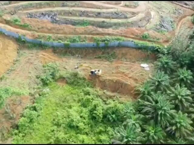 Video Image 1