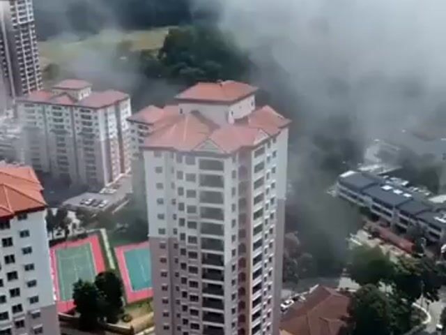 Video Image 1