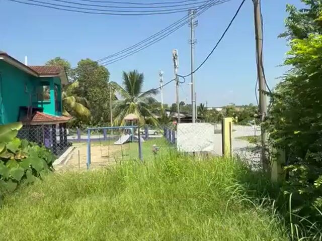 Video Image 1